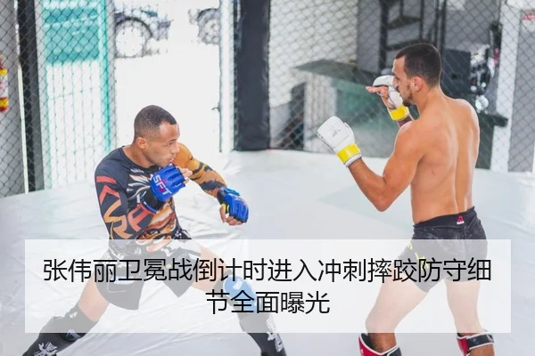 张伟丽卫冕战倒计时进入冲刺摔跤防守细节全面曝光