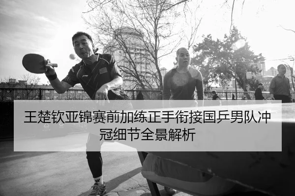 王楚钦亚锦赛前加练正手衔接国乒男队冲冠细节全景解析